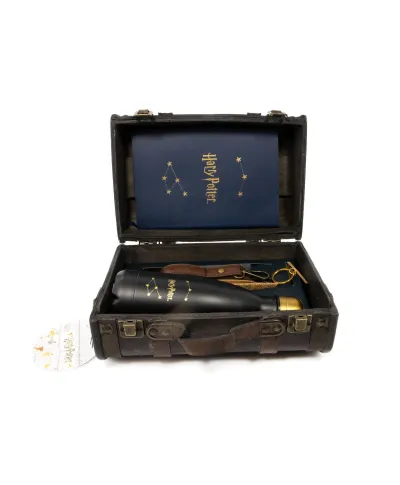 Harry Potter Trouble Finds Me - zestaw prezentowy