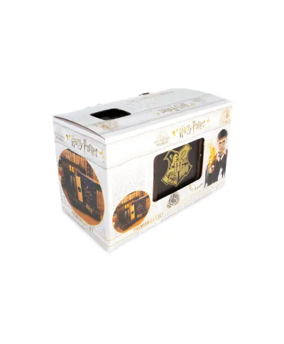 Harry Potter Trouble Finds Me - zestaw prezentowy