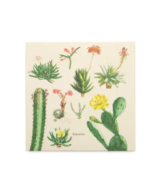 Botanical Cacti - Album na 22 zdjęcia 10x15 cm