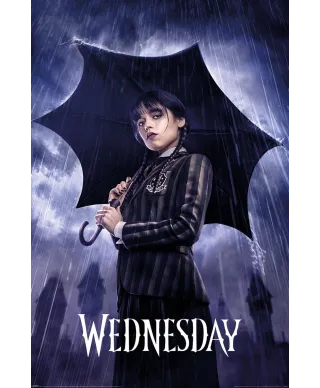 Wednesday Downpour - plakat