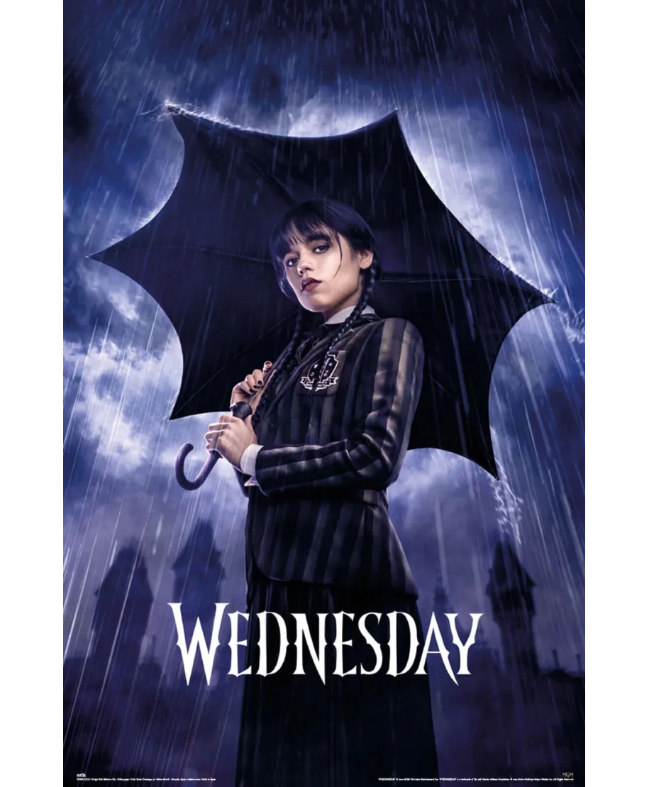 Wednesday Umbrella - plakat