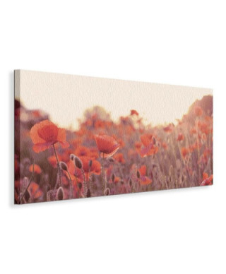 Obraz na płótnie - Maki na łące - Field of Poppies - 30x60 cm