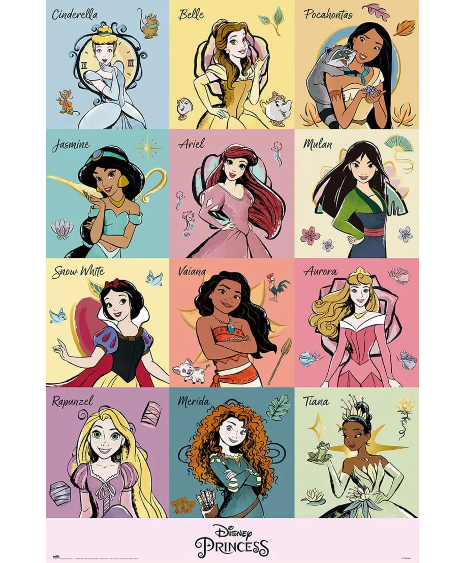 Disney Princess Brush Strokes - plakat