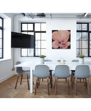 Delicate Pink Poppy - Obraz na płótnie