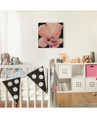 Delicate Pink Poppy - Obraz na płótnie