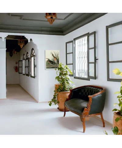 Salt Water Marsh Hen - obraz na płótnie