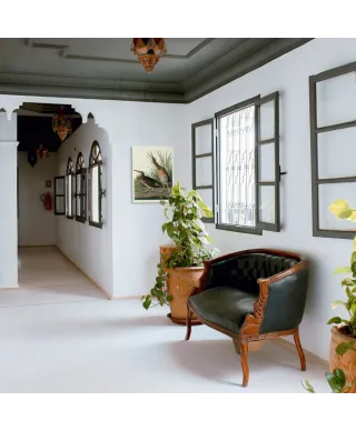 Salt Water Marsh Hen - obraz na płótnie