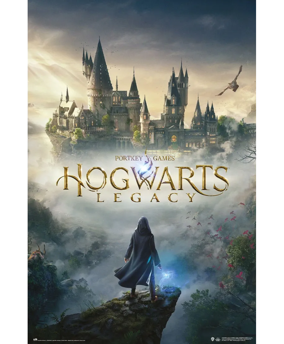 Harry Potter Hogwarts Legacy - plakat