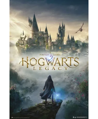 Harry Potter Hogwarts Legacy - plakat