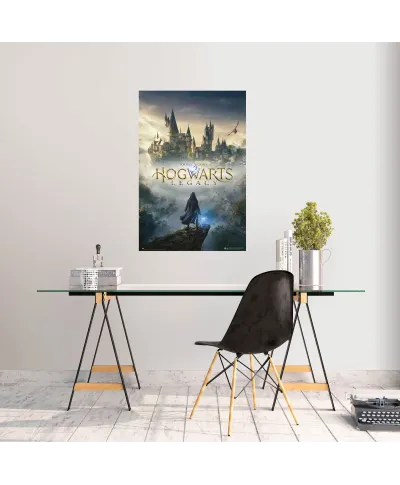 Harry Potter Hogwarts Legacy - plakat