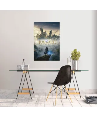 Harry Potter Hogwarts Legacy - plakat