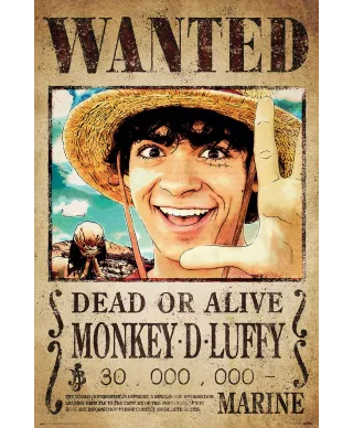 One Piece Wanted Monkey D. Luffy - plakat