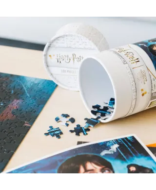 Harry Potter i Kamień Filozoficzny - puzzle 500 elementów