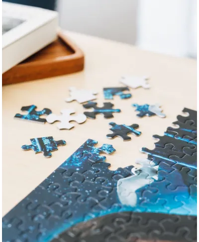 Harry Potter i Kamień Filozoficzny - puzzle 500 elementów