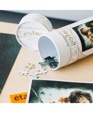 Harry Potter i Komnata Tajemnic - puzzle 500 elementów