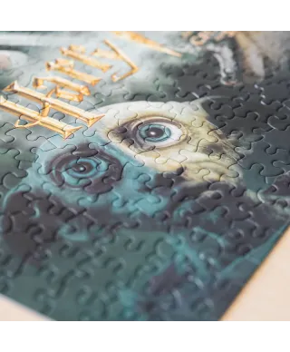 Harry Potter i Komnata Tajemnic - puzzle 500 elementów