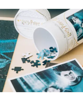 Harry Potter i Więzień Azkabanu - puzzle 500 elementów