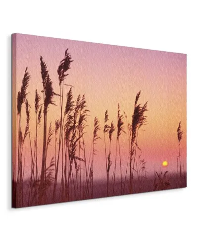 Fenland Sunrise - Obraz na płótnie