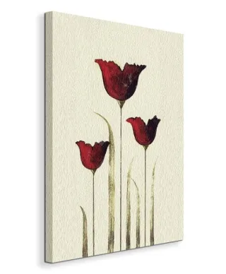 Tulips III - Obraz na płótnie
