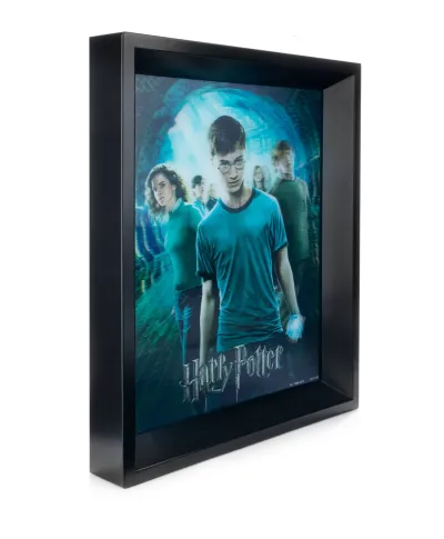 Harry Potter Order Of The Phoenix - plakat 3D w ramie