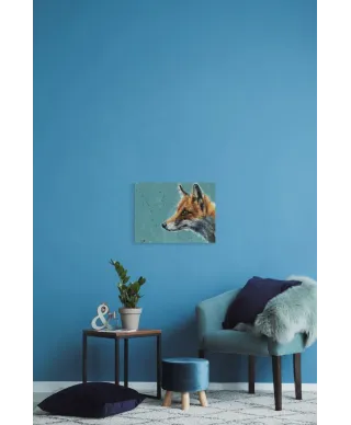 Curiosity - obraz na płótnie