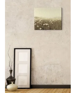 Field of Daisies - Obraz na płótnie