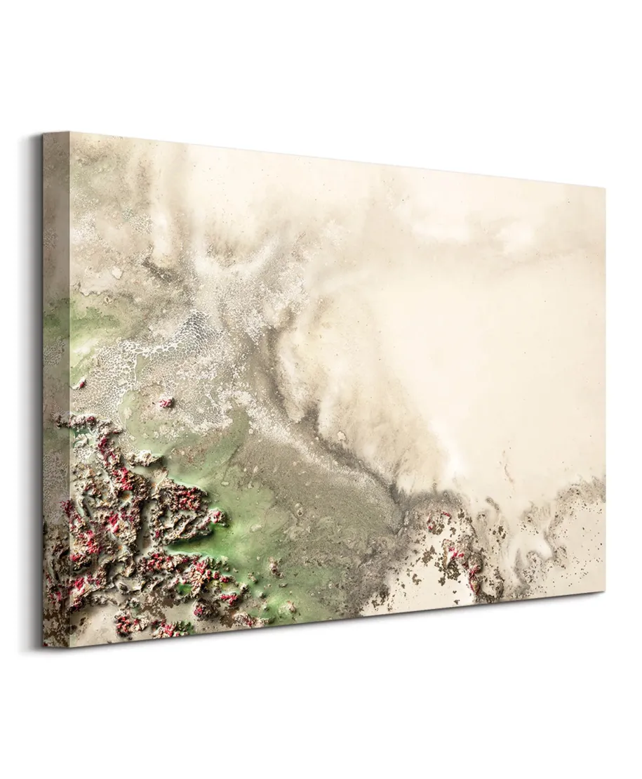 Natures Oasis - obraz na płótnie