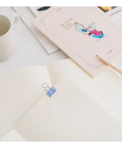 Disney Alice In Wonderland - 3 zeszyty A5