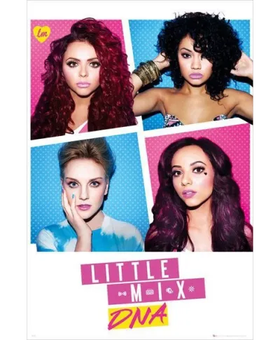 Little Mix DNA - plakat