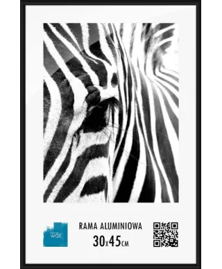 Rama aluminiowa 30x45 cm