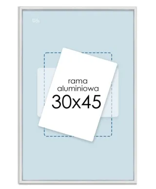 Rama aluminiowa 30x45 cm