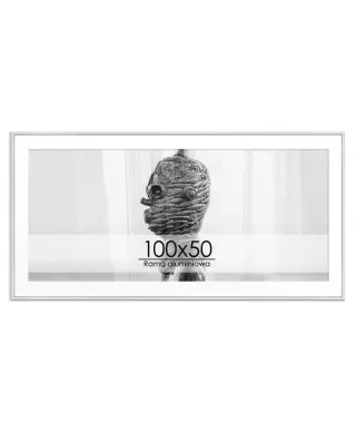 Rama aluminiowa 50x100 cm