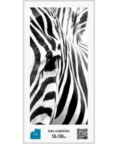 Rama aluminiowa 50x100 cm