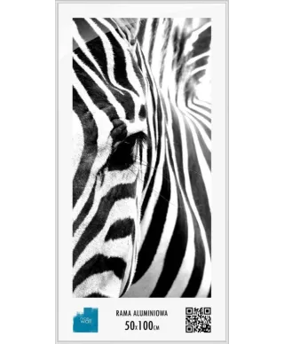 Rama aluminiowa 50x100 cm
