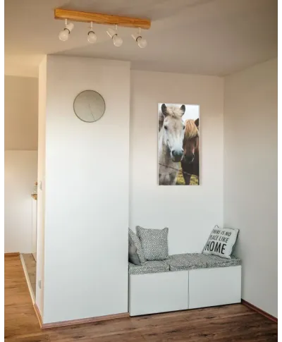 Rama aluminiowa 50x100 cm