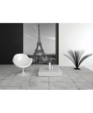 Fototapeta na ścianę - Paryż, Wieża Eiffel - 183x254cm