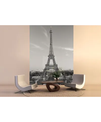 Fototapeta na ścianę - Paryż, Wieża Eiffel - 183x254cm