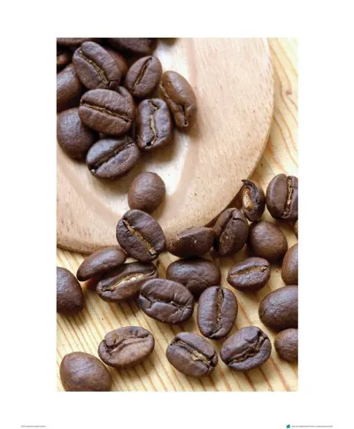 Ziarna Kawy III - reprodukcja
