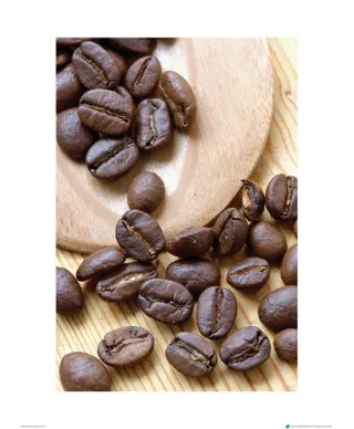 Ziarna Kawy III - reprodukcja