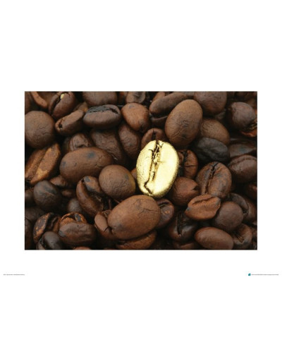 Złote Ziarno Kawy - metamorfoza - reprodukcja