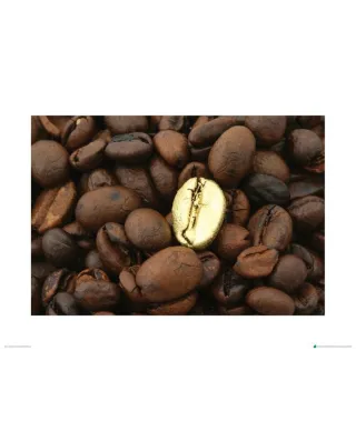 Złote Ziarno Kawy - metamorfoza - reprodukcja