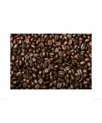 Świeże Ziarna Kawy V - reprodukcja