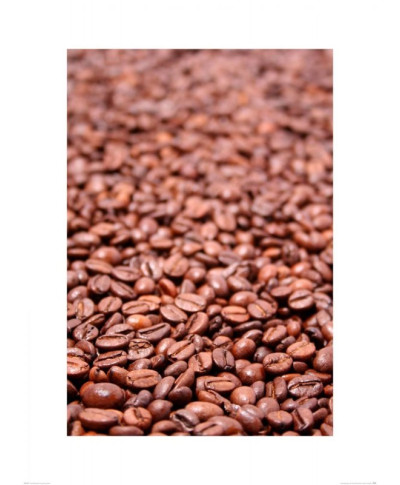 Fried coffee grain - reprodukcja
