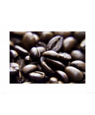 coffe bean - reprodukcja