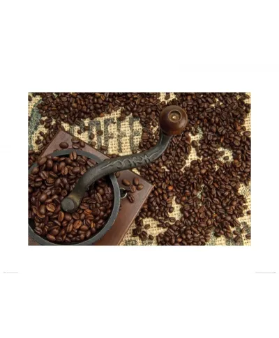 Old Coffee Grinder - reprodukcja