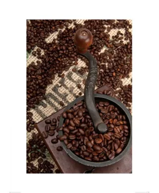 Coffee Beans and Grinder - reprodukcja
