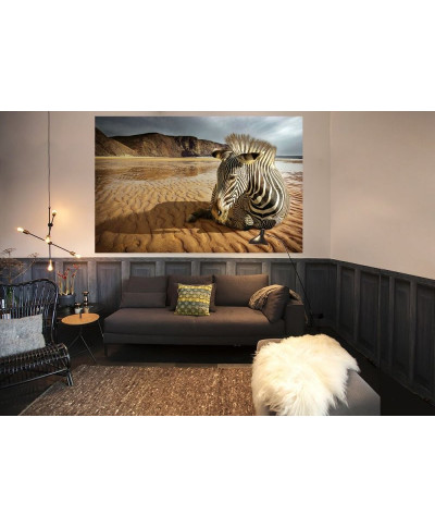 Fototapeta - Zebra na plaży - 175x115 cm