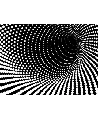 Fototapeta na ścianę - Iluzja na ścianie - 320x230 cm