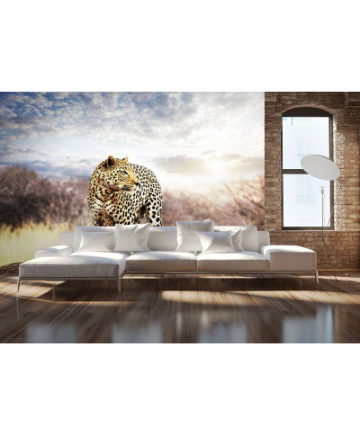 Fototapeta na ścianę - Leopard - 366x254 cm