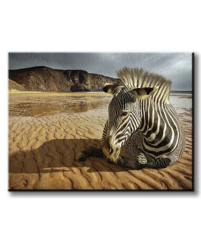 Zebra na plaży - Obraz na płótnie